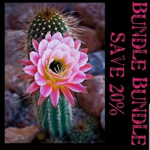 Bundle and save 20%